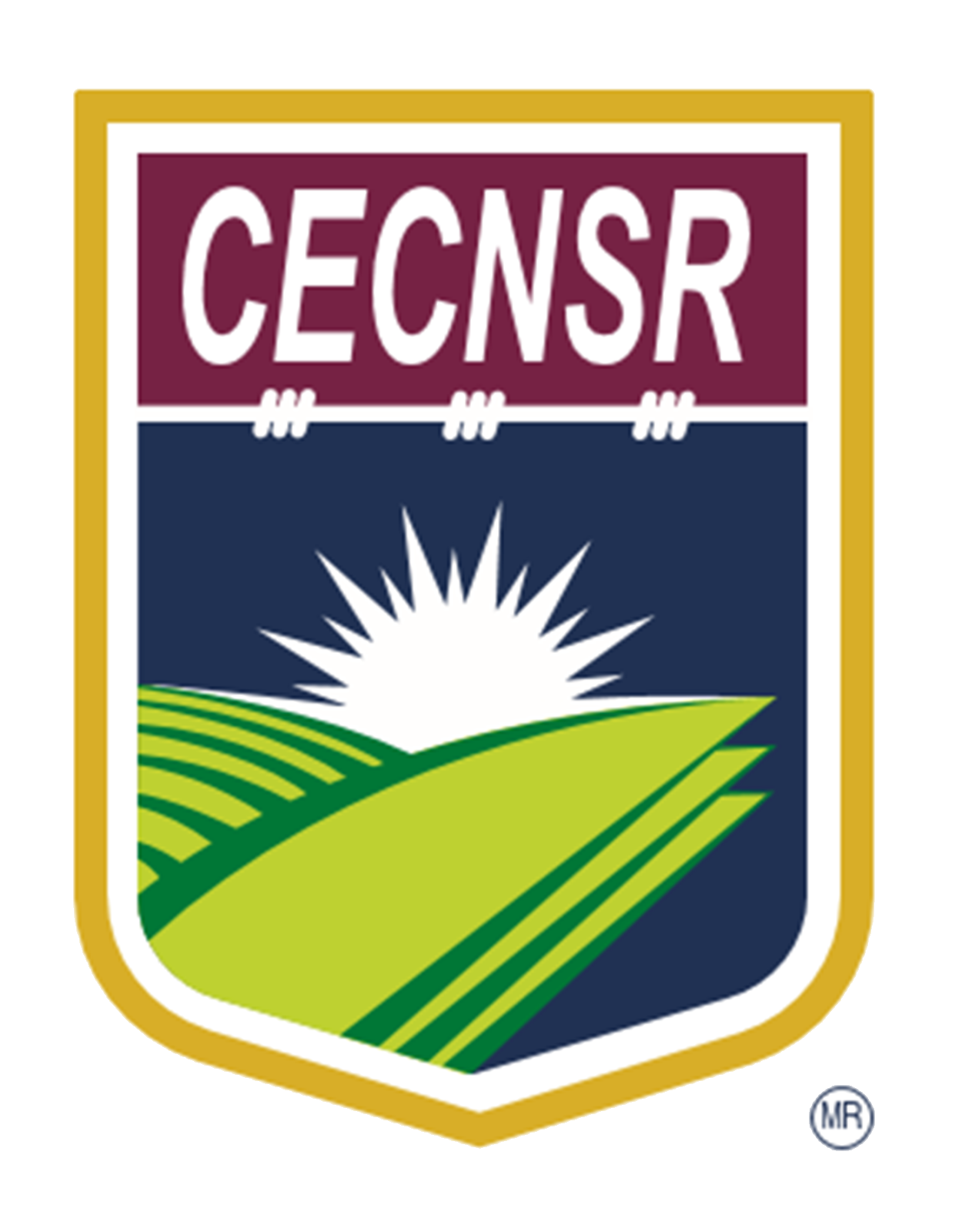CECNSR